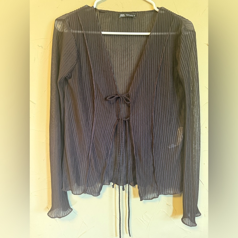 Zara Brown Pleated Tie Front Top S: Whimsigoth Fairycore Sheer Plissé Blouse